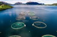 Økte lønnskostnader i Øst-Europa gjør norske produsenter mer konkurransedyktige