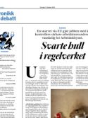 /nyheter/kronikk-svarte-hull-i-regelverket