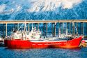 /nyheter/frp-gjennomslag-i-maritim-melding-norske-lonns-og-arbeidsvilkar