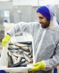 Debatt: – Utan gjestearbeidarane ville sjømatnæringa ha kollapsa 