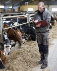 Uten frikort vil permitterte tape på å ta jobb i landbruket