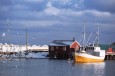 Lerøy Seafood Group vil ha obligatorisk karantenehotell uten egenandal 